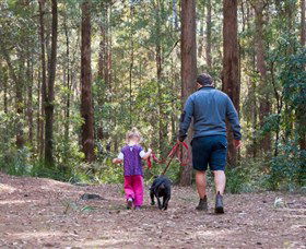 Kulnura NSW Accommodation Georgetown