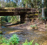 Myrtle Scrub scenic drive - Accommodation Georgetown