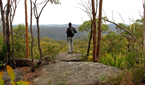Mount Olive Lookout - Accommodation Georgetown 1