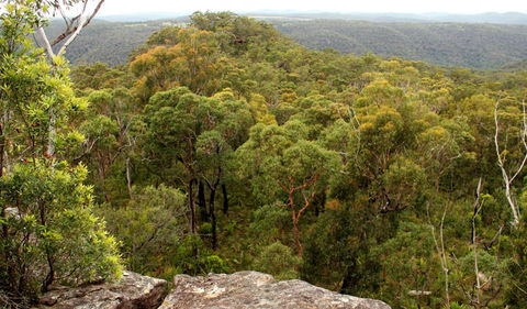 Mount Olive Lookout - Accommodation Georgetown 0