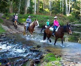 Glenworth Valley Horse Riding - Accommodation Georgetown 1