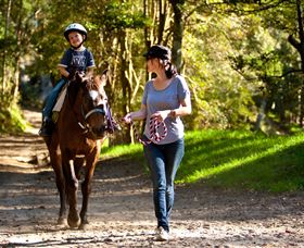 Glenworth Valley Horse Riding - Accommodation Georgetown 3
