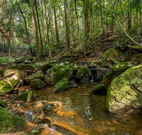 Palm Grove Nature Reserve - Accommodation Georgetown