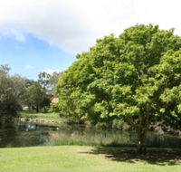 Hervey Bay Botanic Gardens - Accommodation Georgetown