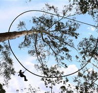 TreeTops Crazy Rider - Accommodation Georgetown