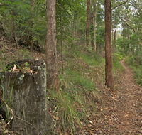 Border loop walk - Accommodation Georgetown