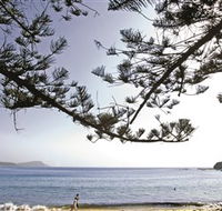 Terrigal Beach - Accommodation Georgetown