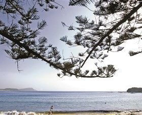 Terrigal Beach - Accommodation Georgetown 0