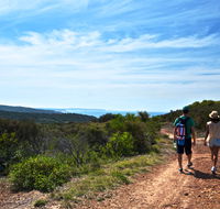Moonee Beach trail - Accommodation Georgetown