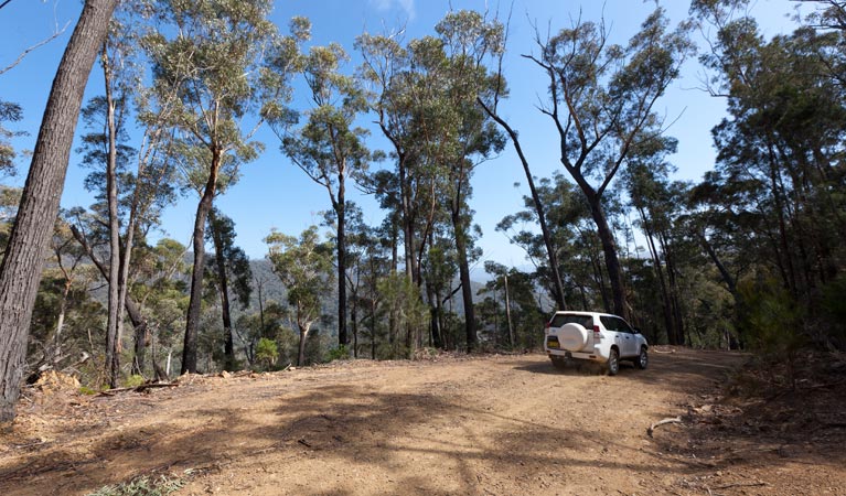 Wadbilliga NSW Accommodation Georgetown