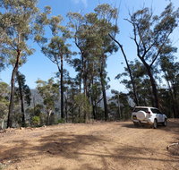 Wadbilliga Road drive - Accommodation Georgetown