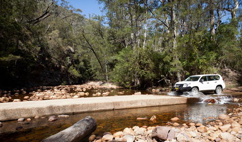 Wadbilliga Road Drive - Accommodation Georgetown 2