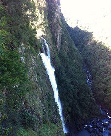 Ellenborough Falls - Accommodation Georgetown 0