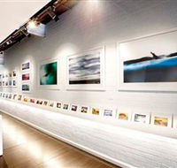 Aquabumps - Accommodation Georgetown