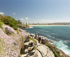Bondi To Coogee Coastal Walk - Accommodation Georgetown 3