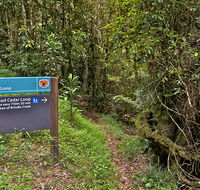 Red Cedar loop - Accommodation Georgetown