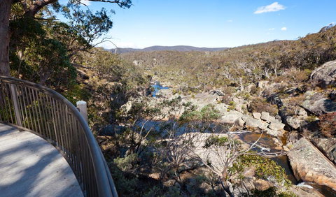 Wadbilliga National Park - Accommodation Georgetown 0