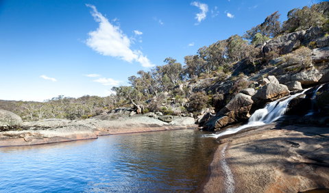 Wadbilliga National Park - Accommodation Georgetown 1