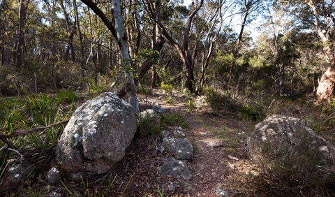 Wadbilliga National Park - Accommodation Georgetown 2