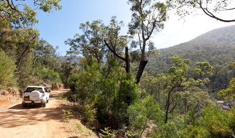 Wadbilliga National Park - Accommodation Georgetown 3