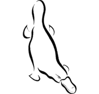 Platypus Gallery - Accommodation Georgetown