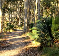 Square Head track 2 - Accommodation Georgetown
