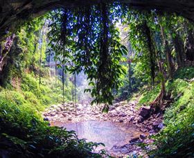 Dorrigo Rainforest Centre - Accommodation Georgetown 1