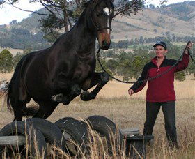 Kings Creek Saddle Club - Accommodation Georgetown 5