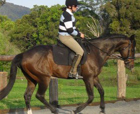 Kings Creek Saddle Club - Accommodation Georgetown 6