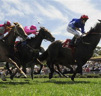 Moruya Racecourse - Accommodation Georgetown