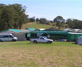 Tinonee NSW Accommodation Georgetown