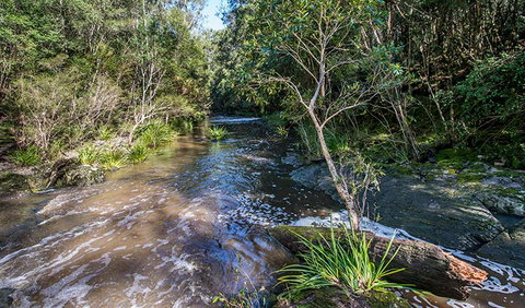 Brimbin Picnic Area - Accommodation Georgetown 2