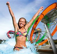 Wet'n'Wild Gold Coast - Accommodation Georgetown
