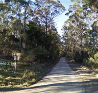 Box Cutting Rainforest Walk - Accommodation Georgetown