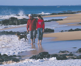 Back Beach - Accommodation Georgetown 0