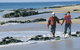 Back Beach - thumb 1