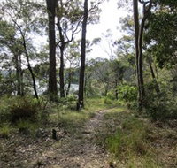Ringlands Rotary Walk Narooma - Accommodation Georgetown