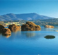 Wagonga Picnic Area - Accommodation Georgetown