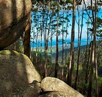 Mount Gulaga Mount Dromedary Walk - Accommodation Georgetown