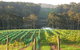 Bellbird Scenic Drive Tilba - thumb 3