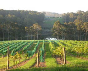 Bellbird Scenic Drive Tilba - Accommodation Georgetown 3