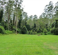 Kerewong State Forest - Accommodation Georgetown