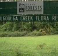 Woolgoolga Creek Flora Reserve - Accommodation Georgetown