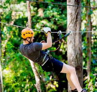 TreeTop Challenge Currumbin - Accommodation Georgetown