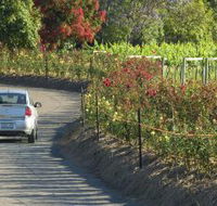 Cassegrain Wines - Accommodation Georgetown