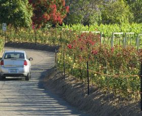 Cassegrain Wines - Accommodation Georgetown 0