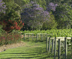 Cassegrain Wines - Accommodation Georgetown 1