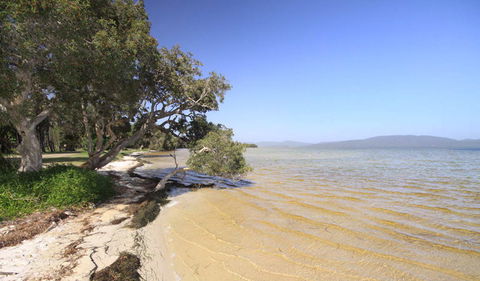 Booti Booti National Park - Accommodation Georgetown 1