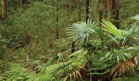 Booti Booti National Park - Accommodation Georgetown 2