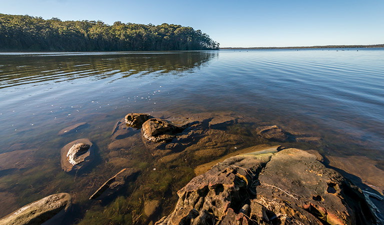 Grants Beach NSW Accommodation Georgetown